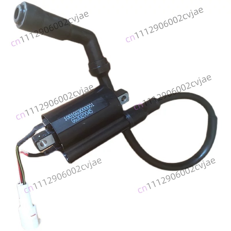 Motorcycle Spark Plug - Paket Tegangan Tinggi Sepeda Motor ZT310-V